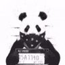 Panda0240